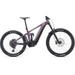 Giant Reign E+ 1 | V1
