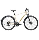 Giant Roam EX