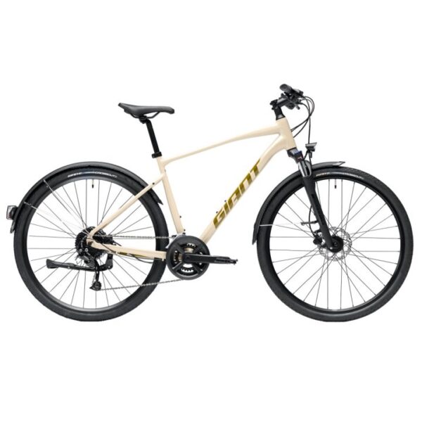 Giant Roam EX