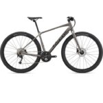 Giant TOUGHROAD SLR 2