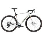 Orbea GAIN M21e 1X